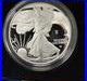 1776-2026 W Proof American Silver Eagle With 250 Privy box and COA