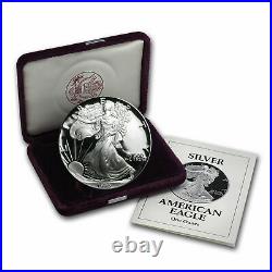 1993 P Silver American Eagle Proof Silver Dollar Box And Coa Included
