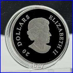 2009 Canada $20 Crystal Snowflake 1oz. 9999 Silver Proof Coin Swarovski Box COA