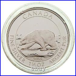 2013 Canada $8 Dollar Polar Bear Proof Silver Coin with Box & CoA