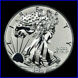 2019-S Silver Eagle Enhanced Reverse Proof With OGP and Box Blast White
