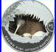 2021 New Zealand Kiwi 1 oz Silver Proof Coin, colorized, COA, Original Box