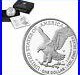2021-W 1 oz Proof Silver American Eagle Type 2 (withBox & COA)
