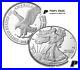 2021 W American Eagle 1oz Silver Proof Coin 21EAN T-2 COA+BOX PRE-SALE -Mr Peet