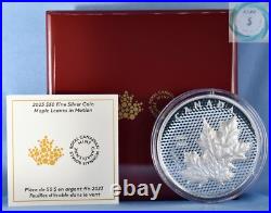 2023 5oz Proof Canadian Silver Maple Leaves In Motion Coin (Box, CoA)