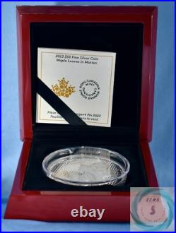 2023 5oz Proof Canadian Silver Maple Leaves In Motion Coin (Box, CoA)
