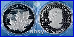 2023 5oz Proof Canadian Silver Maple Leaves In Motion Coin (Box, CoA)