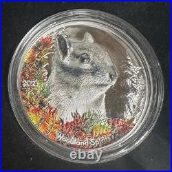 2023 Mongolia Chipmunk 1 Oz Colorized Silver Proof Coin Box And COA 2023 Mongolia Chipmunk 1 Oz Colorized Silver Proof Coin Box And COA