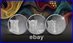 2024 Congo Wildcats Collection 3 x 1 oz Proof Silver with Box & COA Mintage 3000 2024 Congo Wildcats Collection 3 x 1 oz Proof Silver with Box & COA Mintage 3000