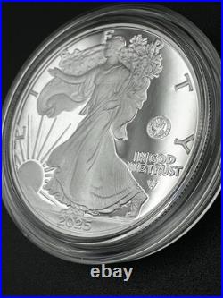 2025 American Eagle 1 oz Silver Proof Coin US Navy 250th Anniv with Box COA