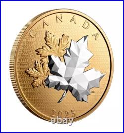 2025 Canada MAPLE LEAVES IN MOTION 5 oz Silver Proof Coin BOX COA Mintage 2000