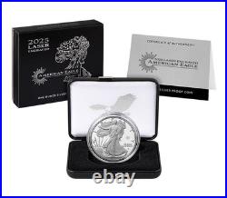 2025 Laser Engraved American Eagle One Ounce Silver Proof Coin SEALED Box