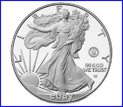 2025 US Mint? SILVER PROOF 250th Anniversary NAVY Privy. Box + CoA