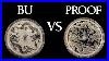 Bu Vs Proof Silver Coins 2020 Proof Double Dragon Coin Review