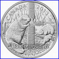 Canada 2013 Beaver Family $50 Five 5 Troy Oz Pure Silver Proof in Full OGP Box