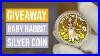 Giveaway U0026 Review Of Baby Rabbit 2023 1 2oz Silver Proof Coin