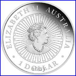 Great Southern Land 2020 1oz Silver Proof Opal Coin ORIGINAL BOX withCOA