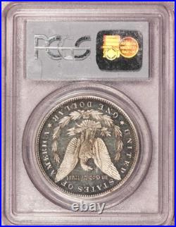 Holy Grail Morgan Silver Dollar Graded Coin Mystery Box 1000 Mintage