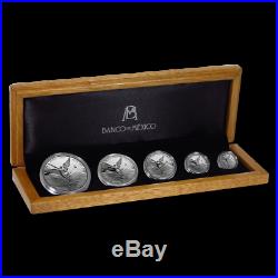 Proof Mexican Libertad Silver 5 Coin Set Mexico 2019 in wooden box mintage 1000